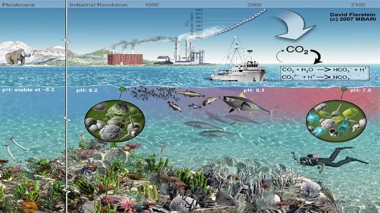 Μειώνεται η Απορρόφηση CO2 από τους Ωκεανούς